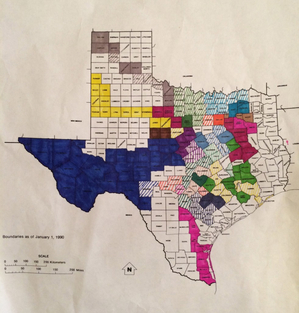 IMG_3131