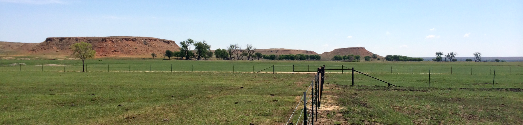 Screen Shot 2014-06-08 at 9.35.53 PM