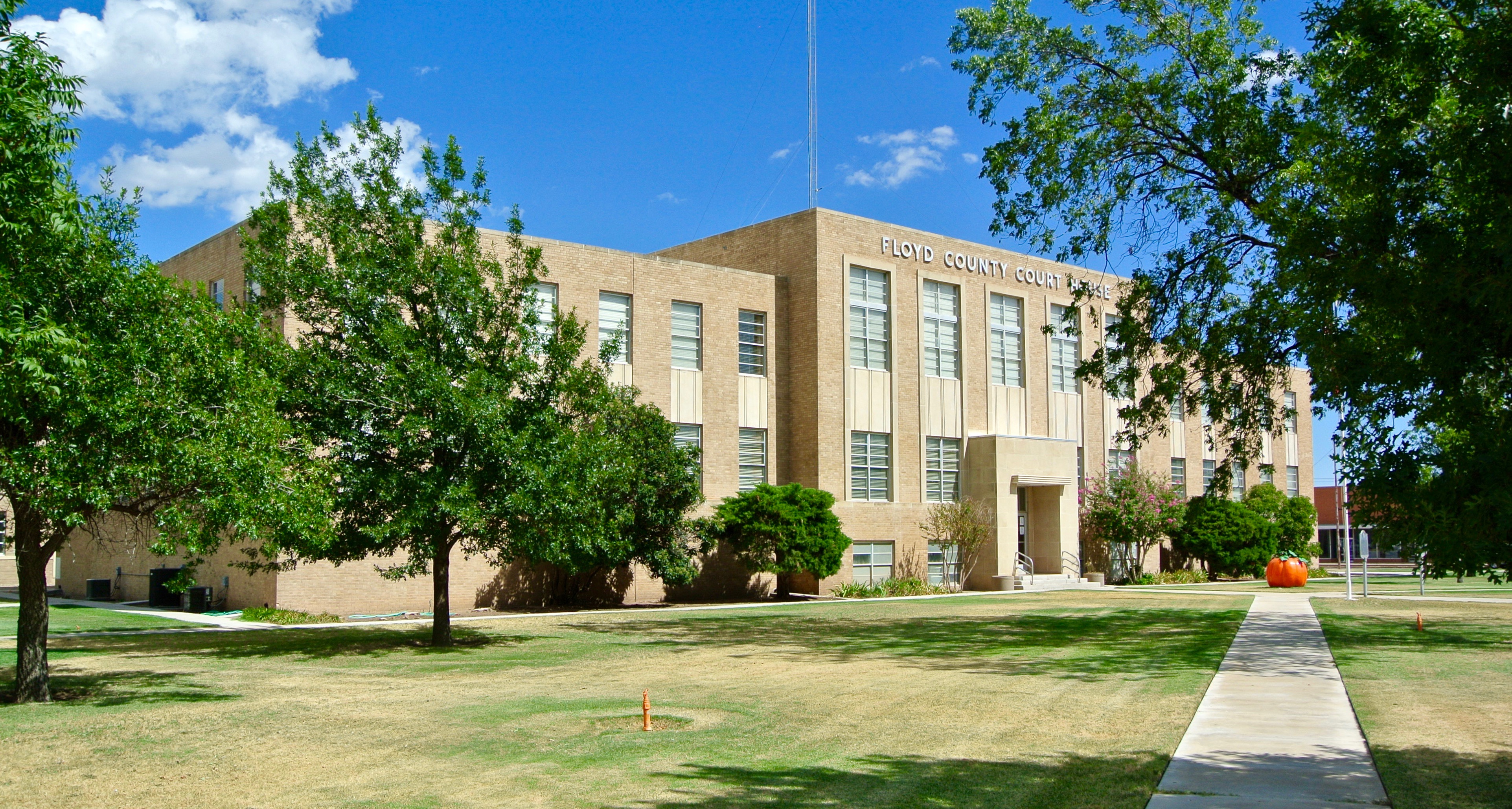 DSC_1466